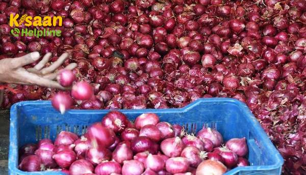 निर्यात प्रतिबंध के बावजूद प्याज की कीमत ऊपर की ओर बढ़ गयी